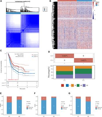 Integrated Analysis of Energy Metabolism Signature-Identified Distinct Subtypes of Bladder Urothelial Carcinoma